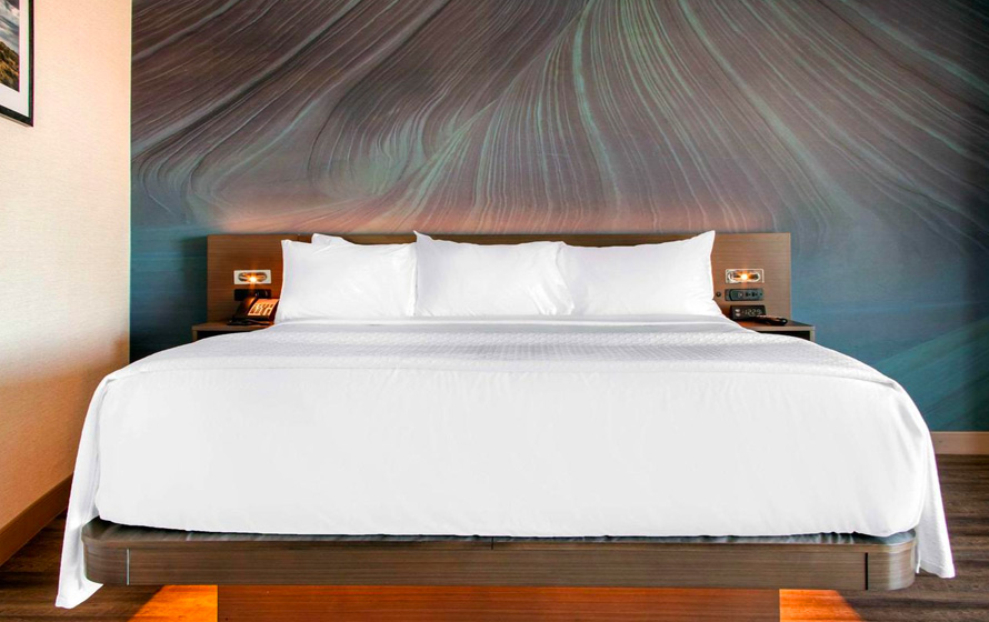 Cambria Hotel Phoenix- North Scottsdale ホテル イメージ